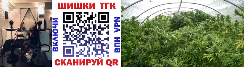 Марихуана SATIVA & INDICA Касимов